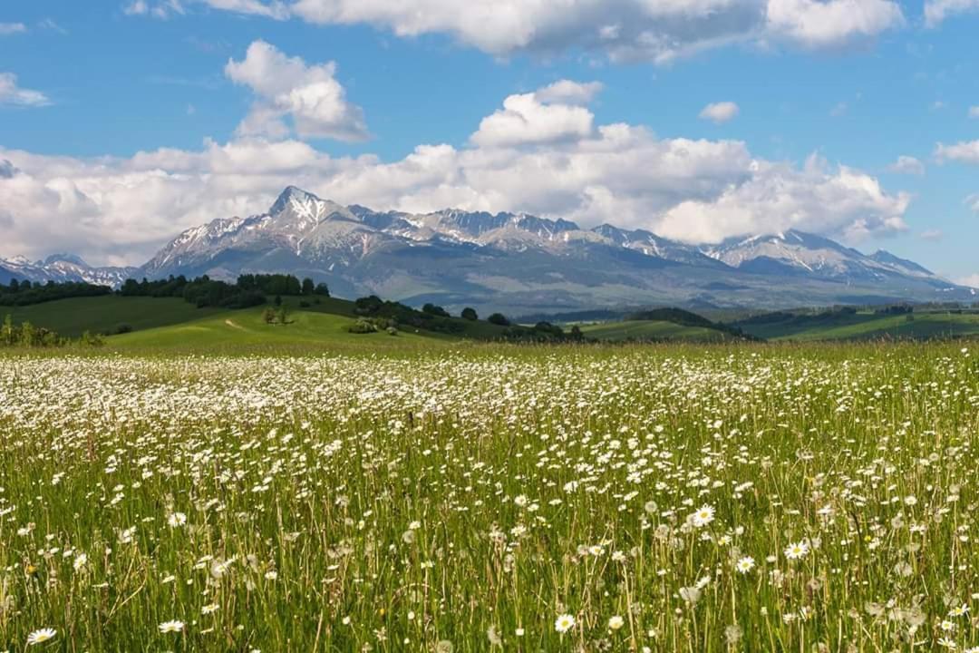 Apartmany Minata Liptovský Mikuláš Dış mekan fotoğraf